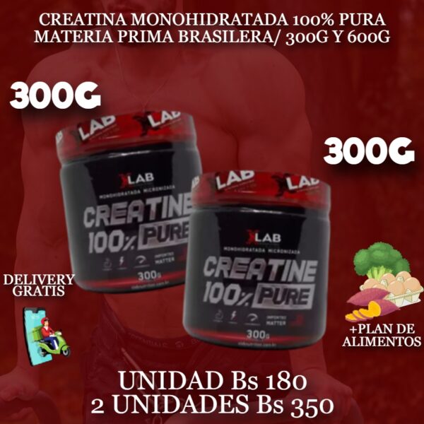 CREATINA MONOHIDRATADA 300 G - Imagen 2